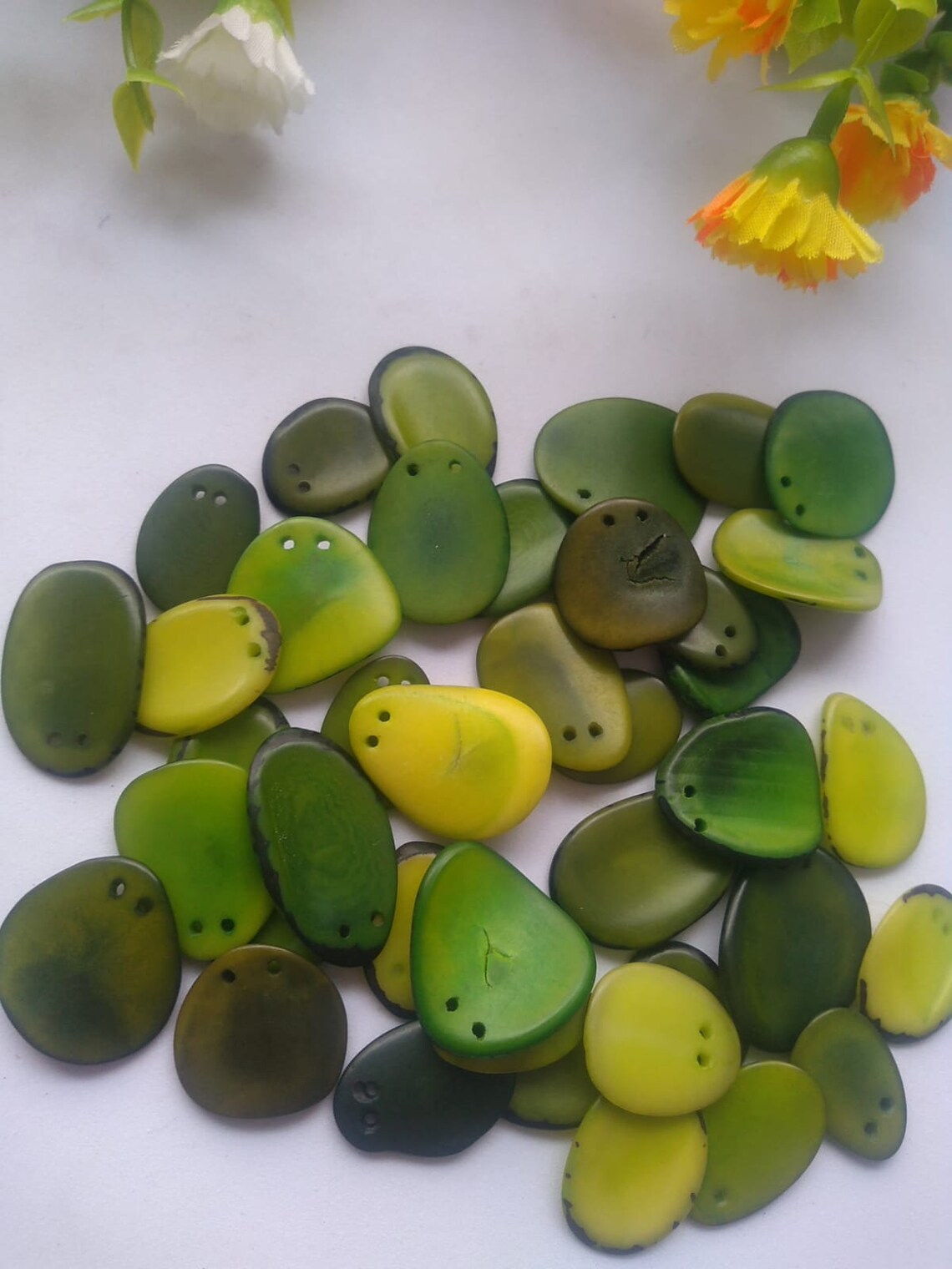 Tagua Chip Slices Beads. 20 Pieces in Multiple Colors.