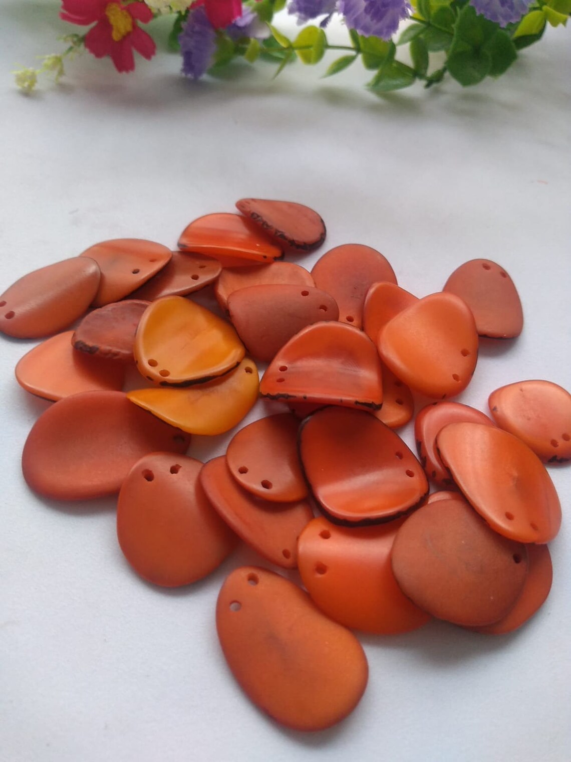 Tagua Chip Slices Beads. 20 Pieces in Multiple Colors.