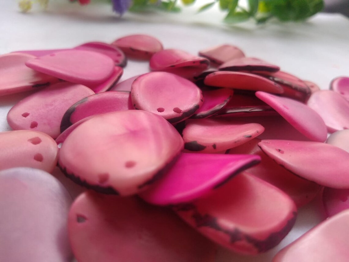 Tagua Chip Slices Beads. 20 Pieces in Multiple Colors.