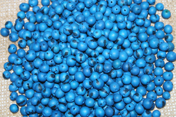 Cobalt Blue Beads Acai Seeds from the Amazonian Palm. Size: 1x1cm. Hole Size 1mm Approx. Natural Accounts. Pack of 200 Beads. TABlue01
