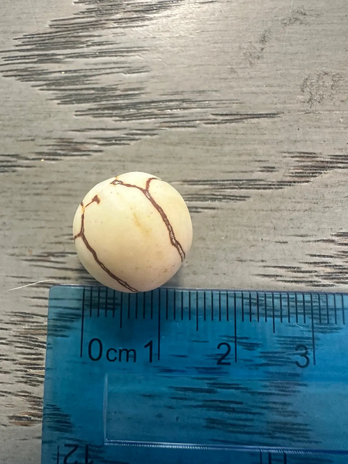 20 Bombona Balls from Colombia. Beige Matte Bombona Seeds. It’s Punctured Straight Through. TBBeige06