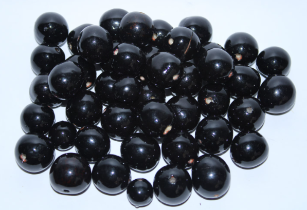 30 Bombona Balls From Colombia. Black Bombona Seeds. It’s punctured straight through. TBBlack01