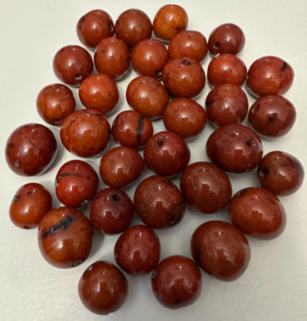 Natural Beads |Bombona Seed Beads| 30 Bombona Balls from Colombia. Burnt Orange Bombona Seeds. It’s Punctured Straight Through. TBOrange01