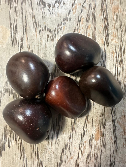 Seed Beads Whole 5 Tagua Nuts Brown Polished Natural Shine Large: 3.5x3 cm. Top-drilled. Jewelry Making Carving Woodwork. TWBrown02D-U