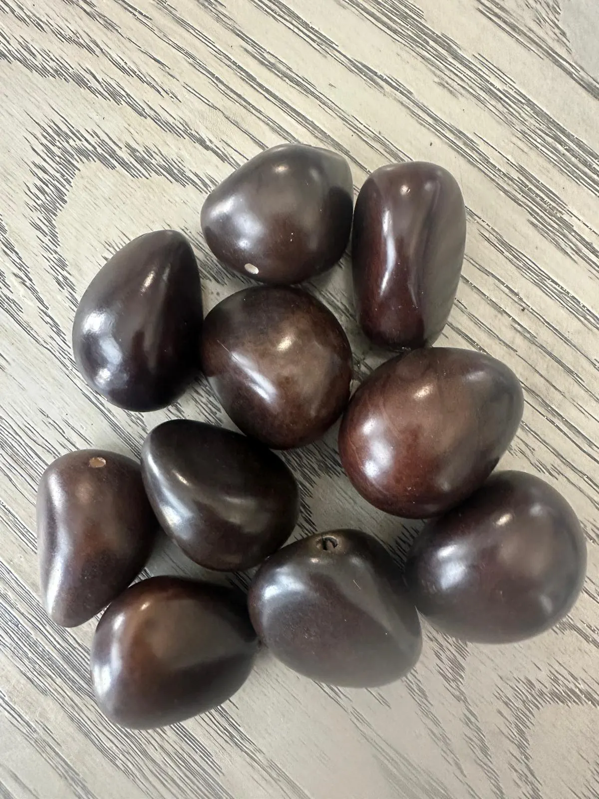Seed Beads Whole 5 Tagua Nut Reddish brown Polished Natural Shine Large 3.5x3cm. approx. Top Drilled. TWBrown03D-U