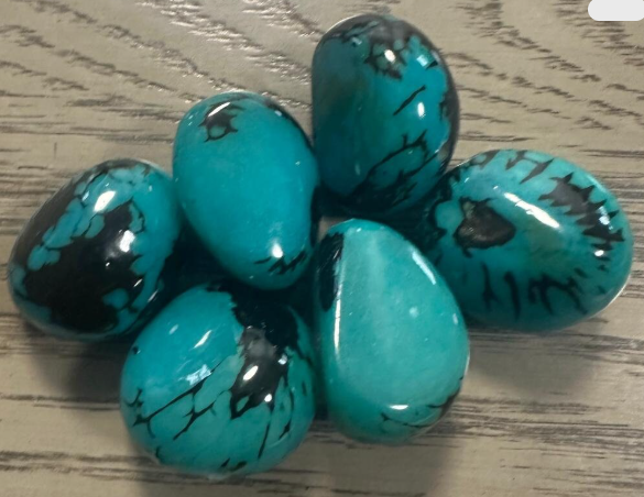 Tagua Nut Blue/Teal | 5 Whole Seed Beads Top Drilled 4x3cm. approx. TWBlue01D