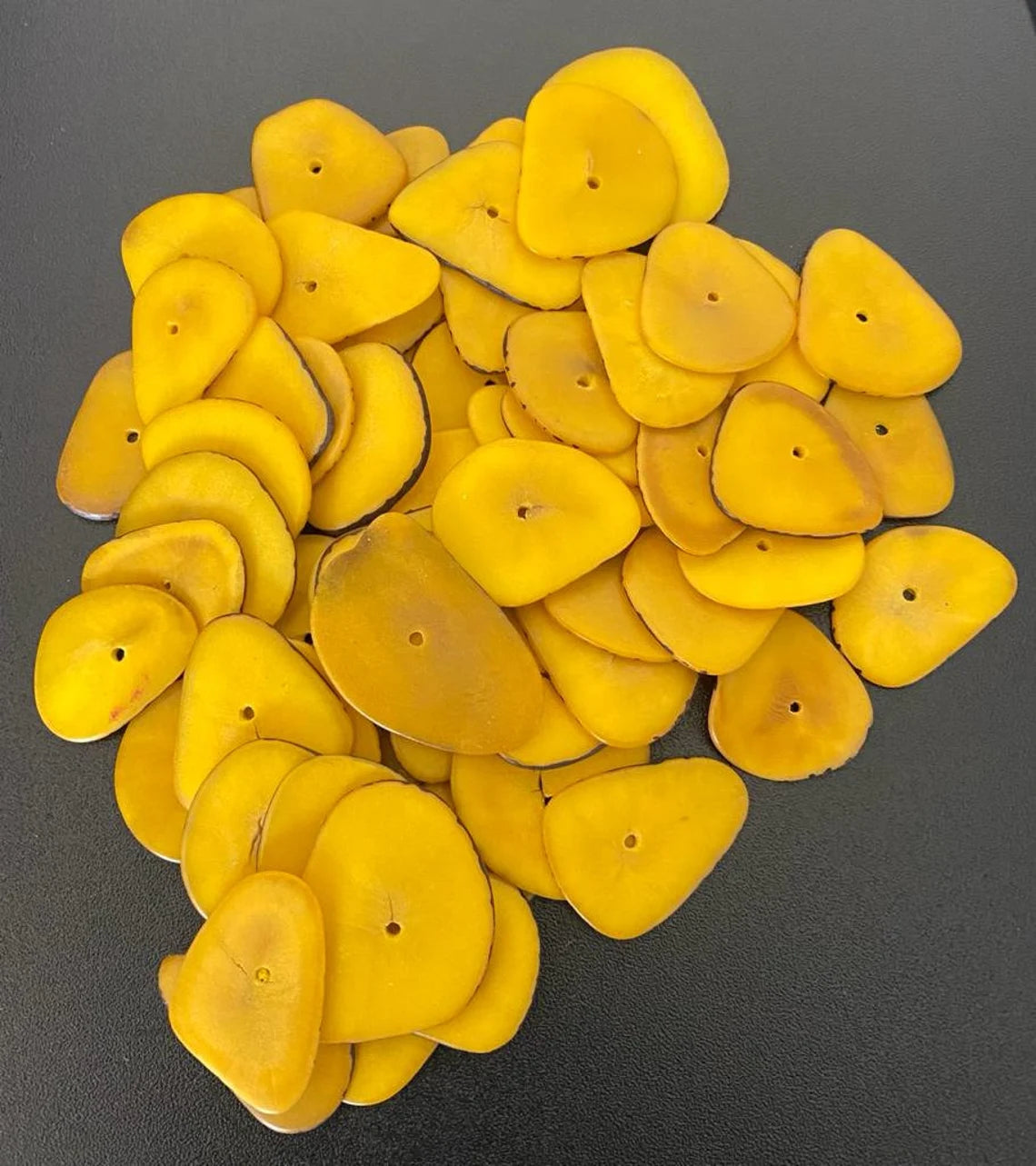 Tagua Slices Beads. 20 Yellow Pieces