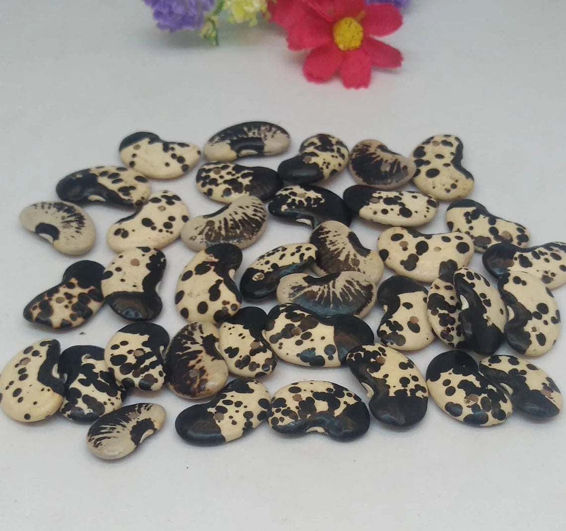 Tagua Slices Beads. 50 Dalmatian Patterned Pieces.