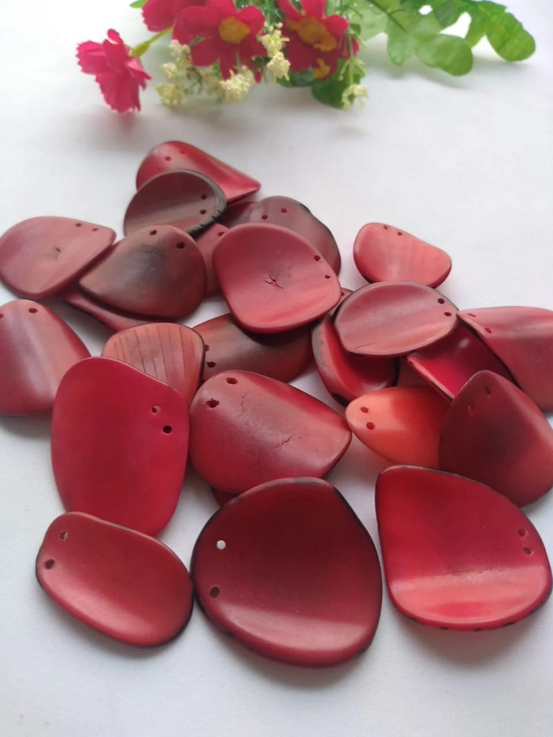 Tagua Chip Slices Beads. 20 Red Pieces