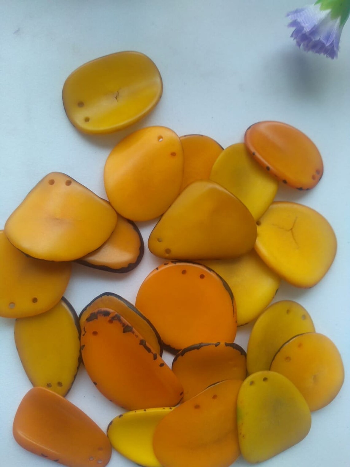 Tagua Chip Slices Beads. 20 Yellow, Brown or Green Pieces.