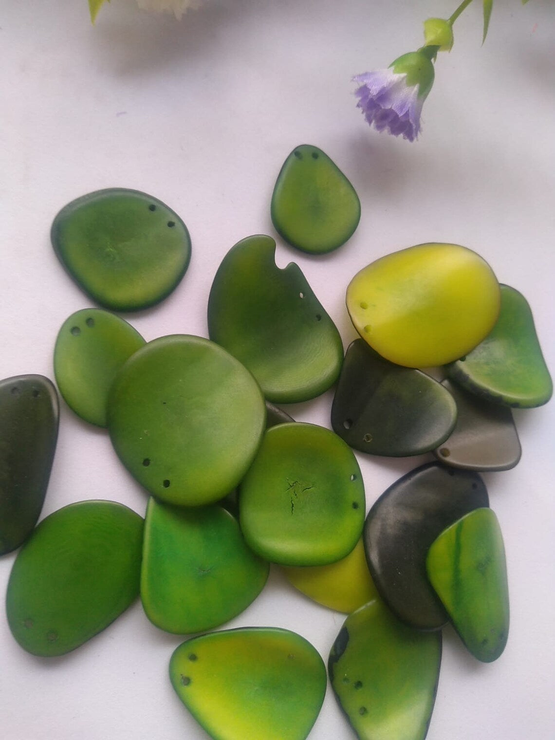 Tagua Chip Slices Beads. 20 Yellow, Brown or Green Pieces.