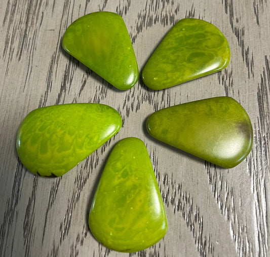 Tagua Curved Triangle Beads. 5 Green Pieces