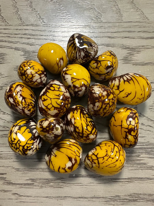 Tagua Whole Nut. 6 Yellow Pieces.