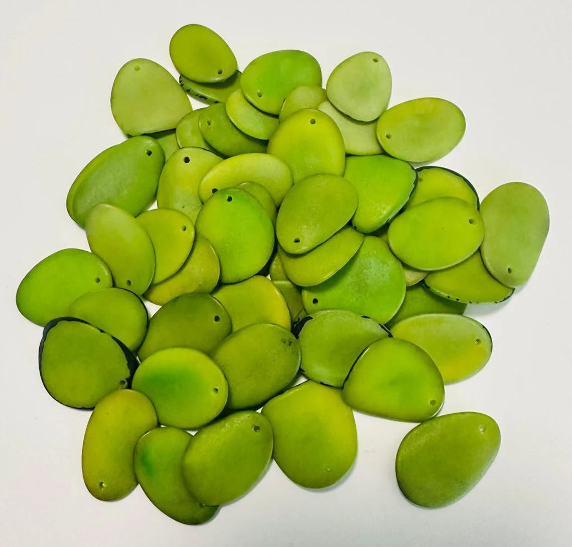 Tagua Chip Slices Beads. 30 Green Pieces
