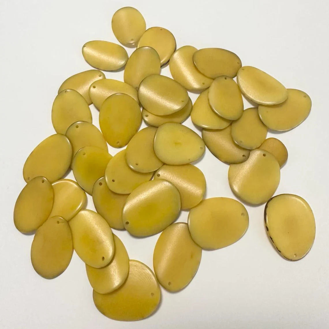 Tagua Chip Slices Beads. 30 Yellow Pieces