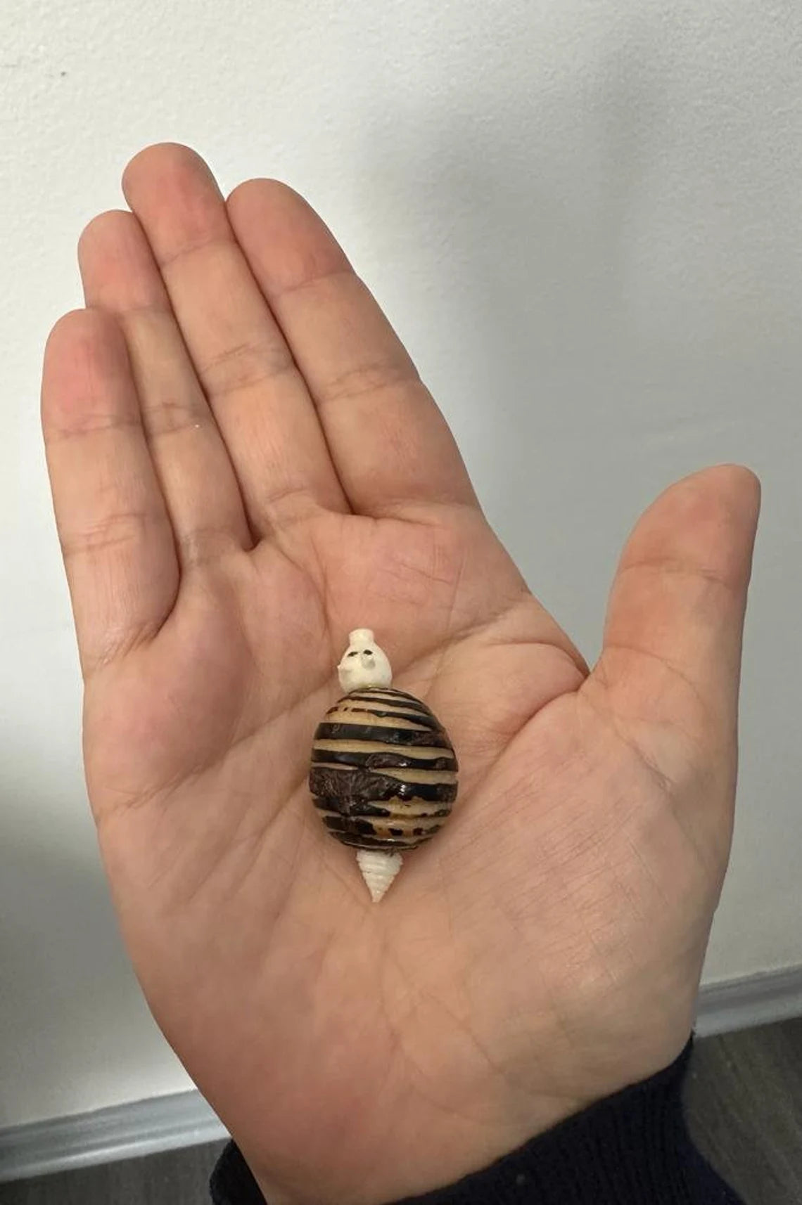 Tagua Decorative. Armadillo Mini Figure