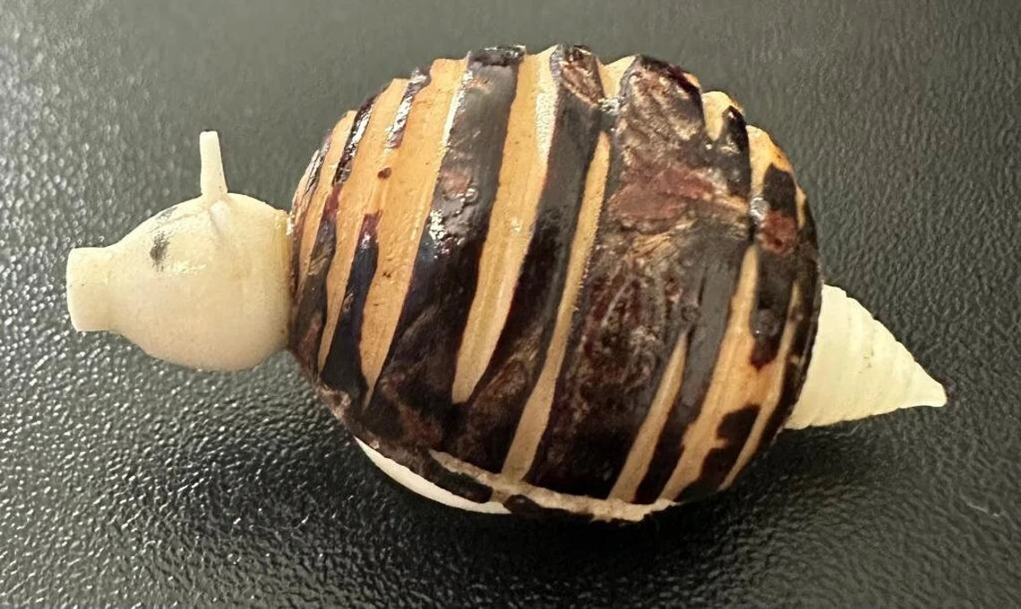 Tagua Decorative. Armadillo Mini Figure