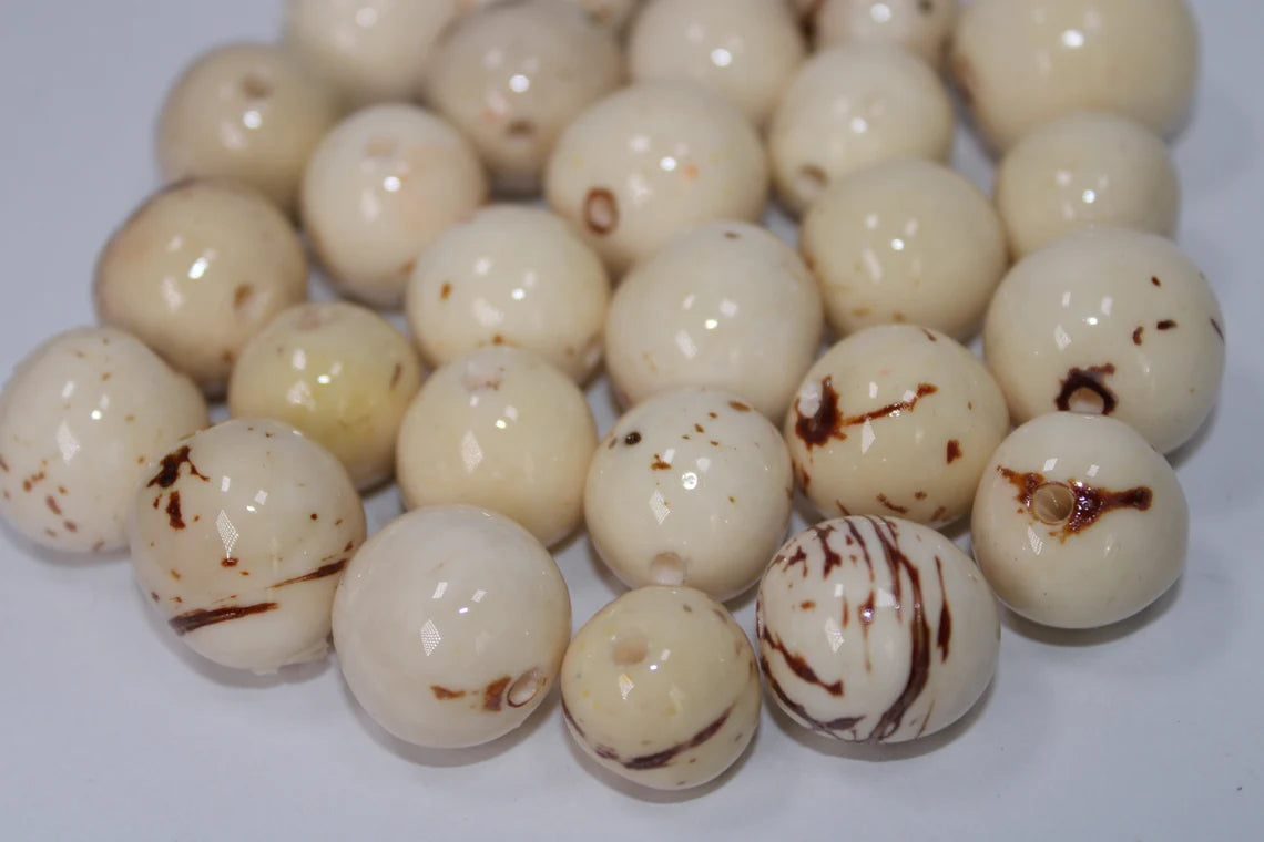 Seed Beads 100 White - Beige Bombona Balls - Seeds, Size 2 - 2.5 cm. Approx. Top Drilled. Natural Jewelry Making Supplies