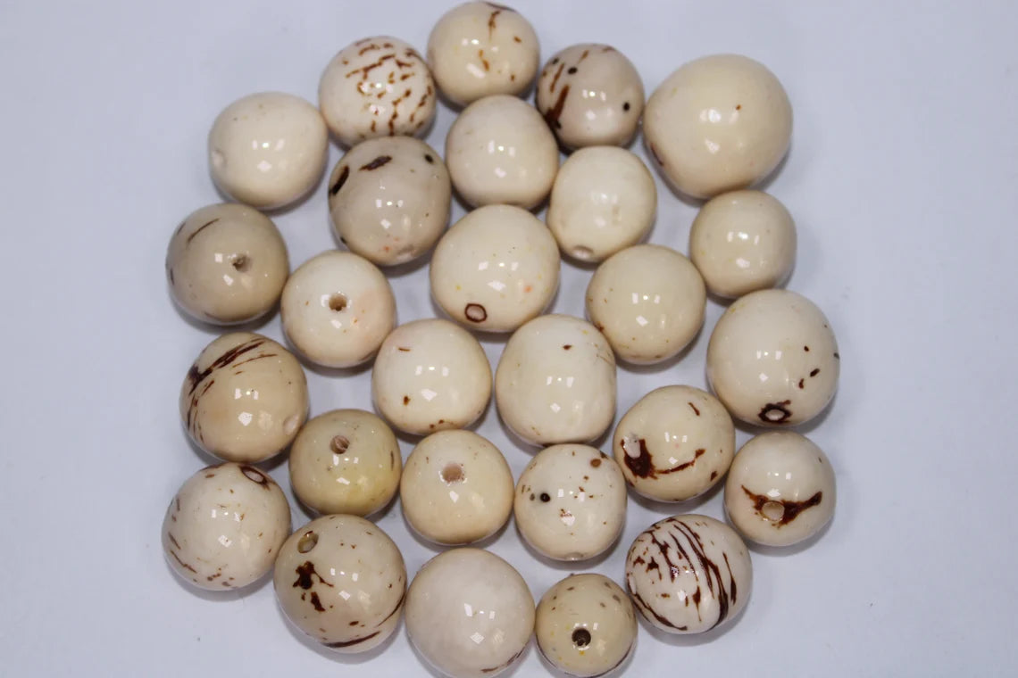 Seed Beads 100 White - Beige Bombona Balls - Seeds, Size 2 - 2.5 cm. Approx. Top Drilled. Natural Jewelry Making Supplies