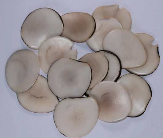 Tagua Slices Beads. 20 Beige Pieces. Drilled or Undrilled