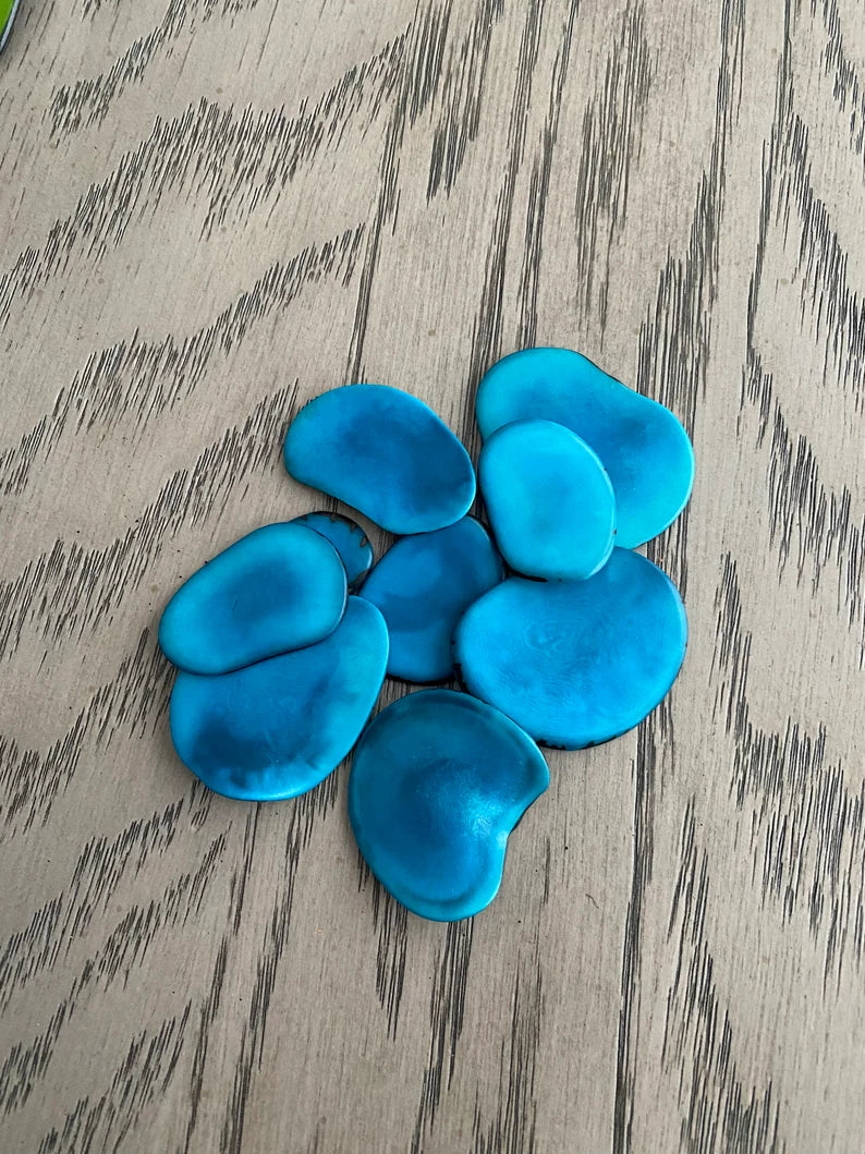 Tagua Slices Beads. 20 Blue Pieces