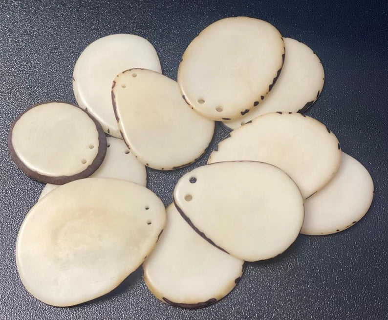 Tagua Slices Beads. 20 Beige Pieces