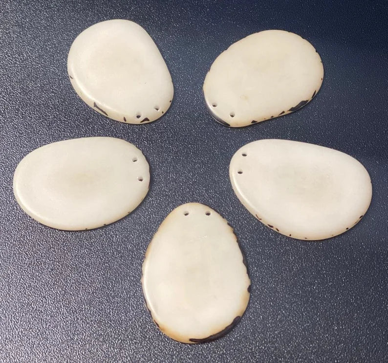 Tagua Slices Beads. 20 Beige Pieces