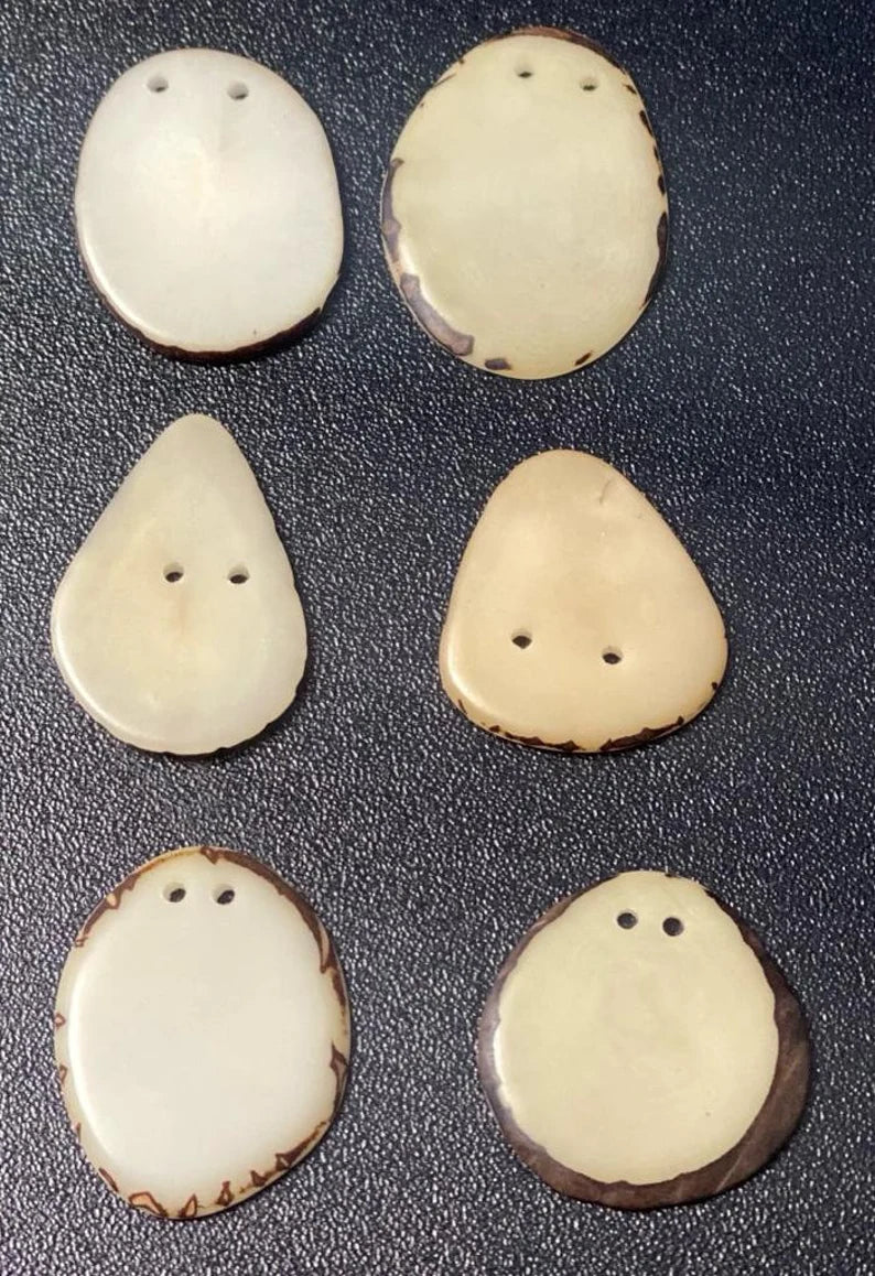 Tagua Slices Beads. 20 Beige Pieces