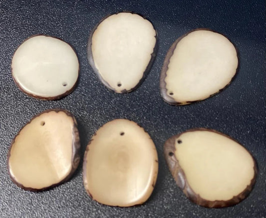 Tagua Chip Slices Beads. 20 Beige Pieces