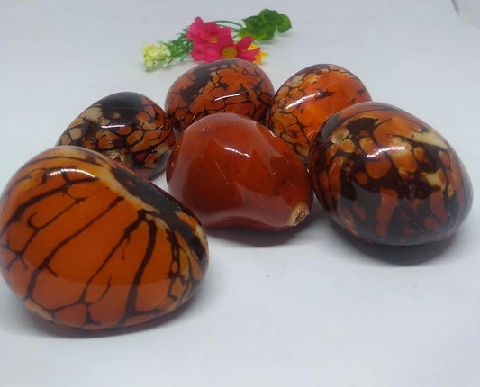 Tagua Whole Nut. 6 Orange Pieces
