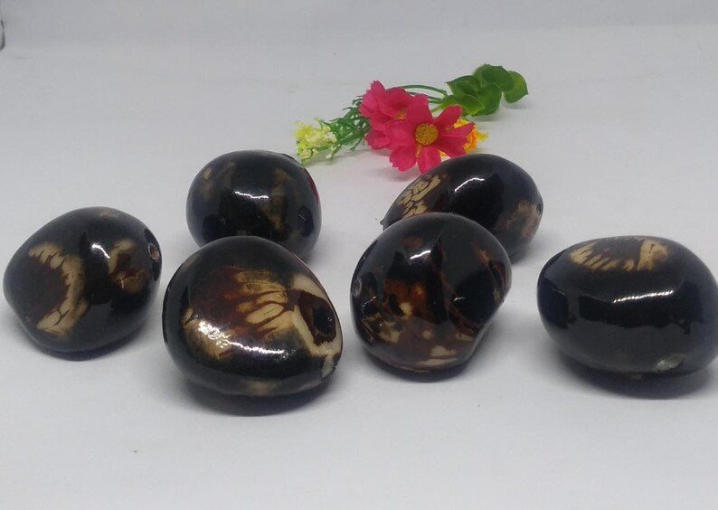 Tagua Whole Nut. 6 Bicolor Pieces