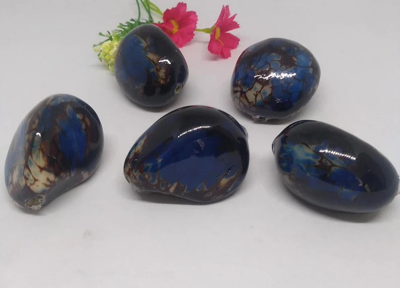 Tagua Whole Nut. 5 Dark Blue Pieces