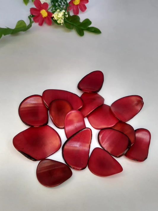 Tagua Chip Slices Beads. 20 Red Pieces