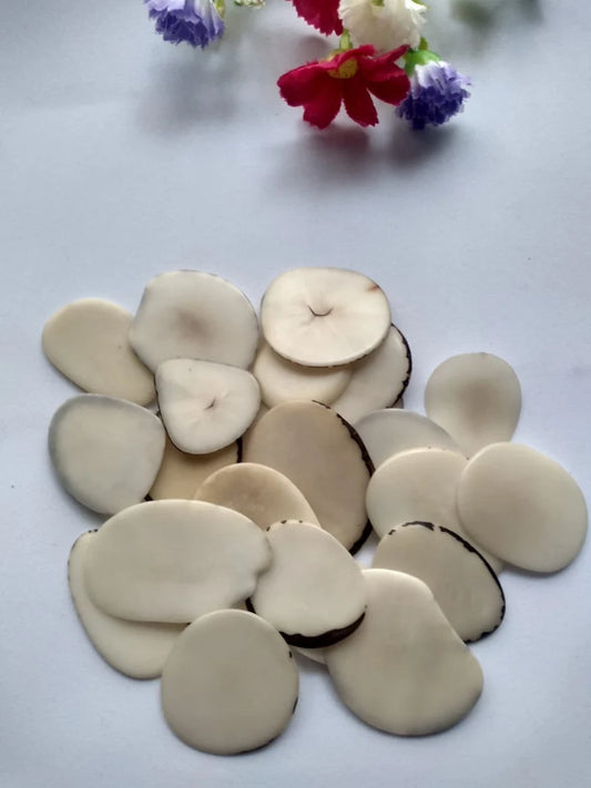 Tagua Slices Beads. 30 Beige Pieces