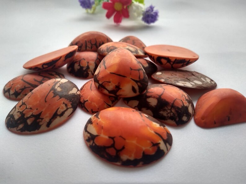 Tagua Half Nut Beads. 15 Orange Pieces
