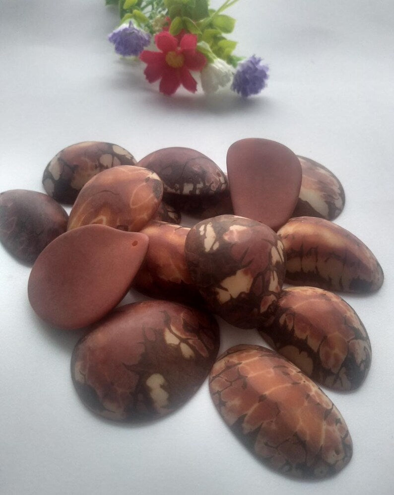 Tagua Half Nut Beads. 15 Brown Pieces