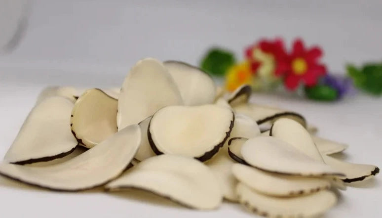 Tagua Chip Slices Beads. 20 Beige Pieces.