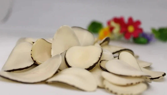 Tagua Chip Slices Beads. 20 Beige Pieces.