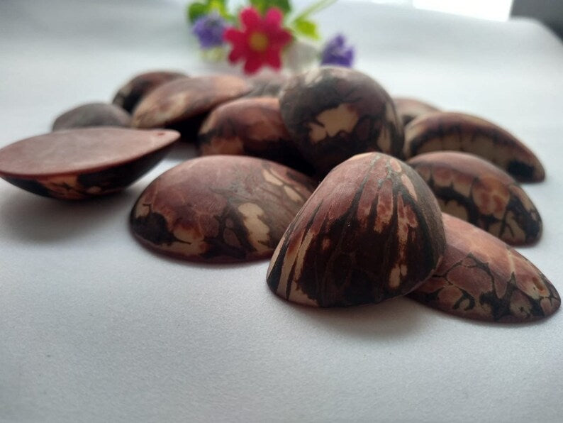 Tagua Half Nut Beads. 15 Brown Pieces
