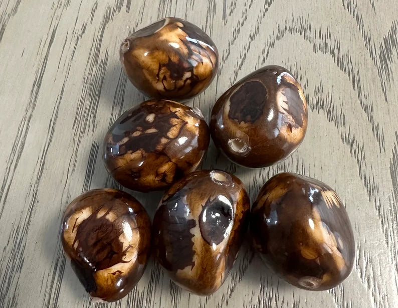 Tagua Whole Nut. 5 Brown Pieces.