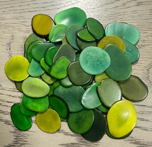 Tagua Chip Slices Beads. 20 Green Pieces