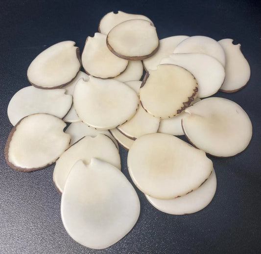 Tagua Slices Beads. 20 Beige Pieces