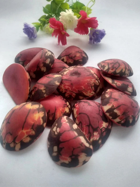 Tagua Half Nut Beads. 15 Red Pieces