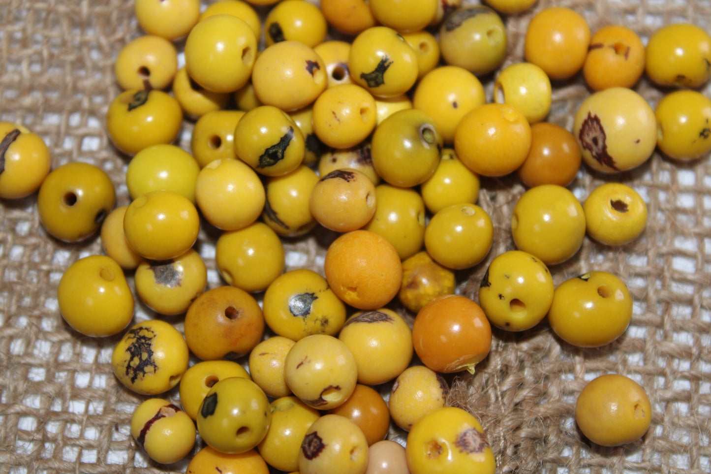 Acai Ball Beads. 200 Yellow and Beige Beads