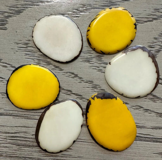 Tagua Slices Beads. 20 White and Yellow Pieces