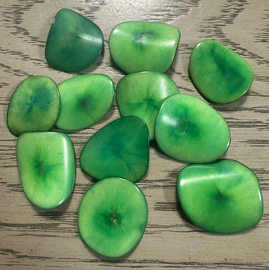 Tagua Slices Beads. 15 Pale Green Pieces