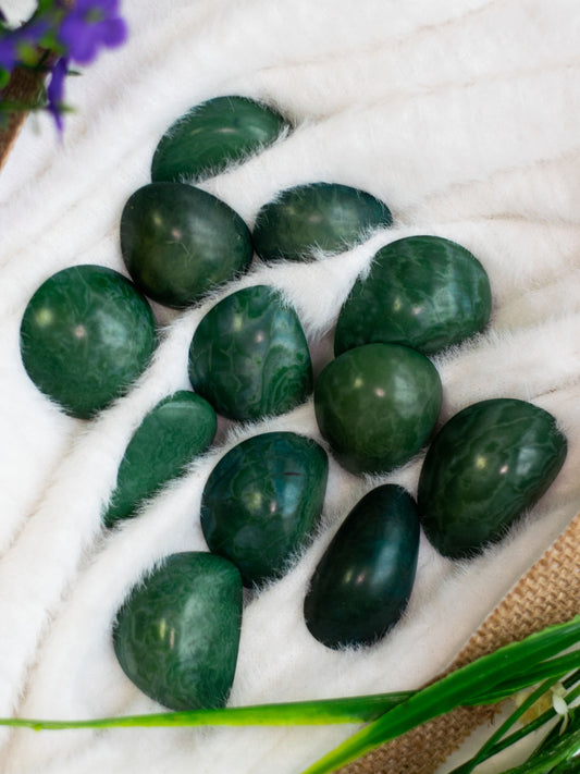 Tagua Whole Nut. 5 Green Pieces.