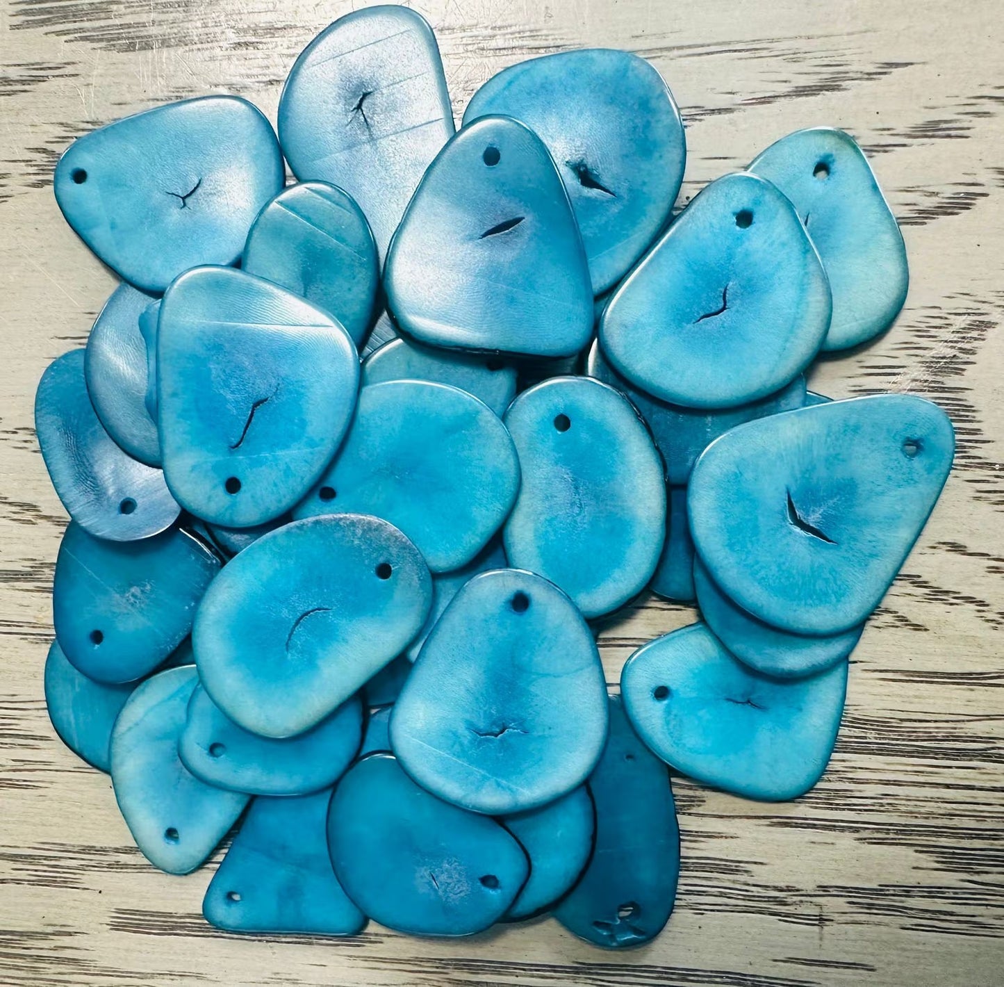 Tagua Triangle Slices Beads. 30 Blue Colors.