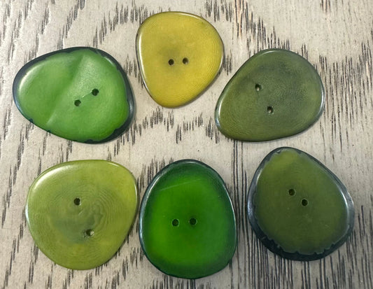 Tagua Button Slices. 30 Green Pieces