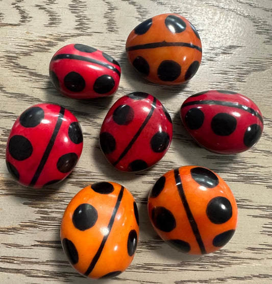 Tagua Whole Nut. 7 Ladybug pattern Pieces.